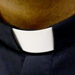 Image of a Clerical Dog Collar