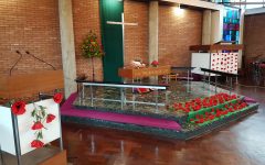 Poppies for Remembrance Sunday 2018